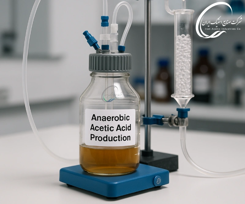 تولید اسید استیک در شرایط بی هوازی